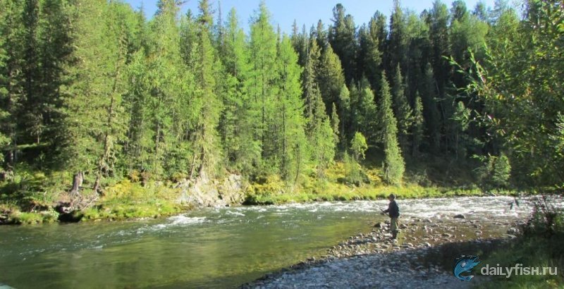 Рыбалка на реке Аргут