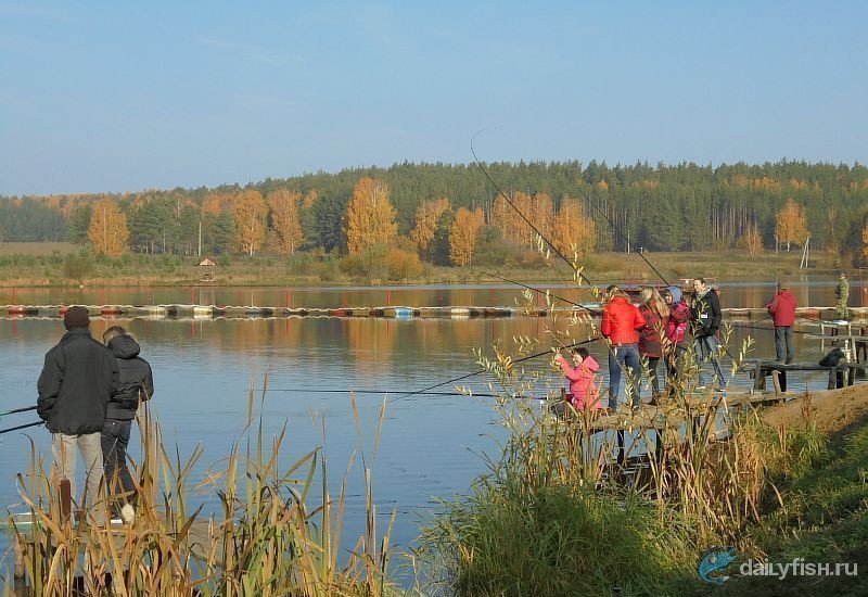 Рыбалка на Шабровском пруду