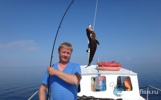 Рыбалка на треску по Летнему берегу Белого моря