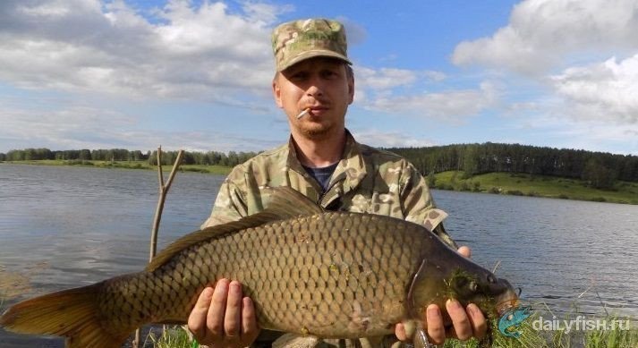 Рыбалка в Новоалександровке
