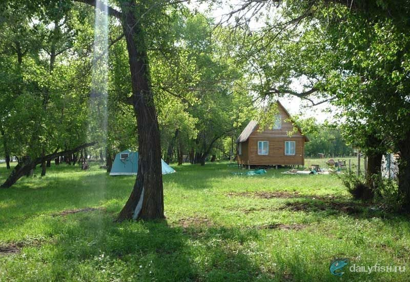 Рыболовная база "Дом рыбака на Ахтубе"