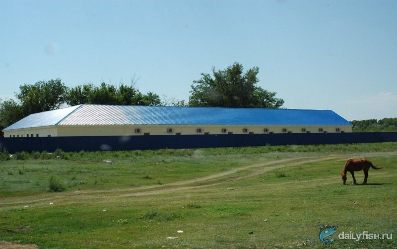 Рыболовная база "Селитрон"