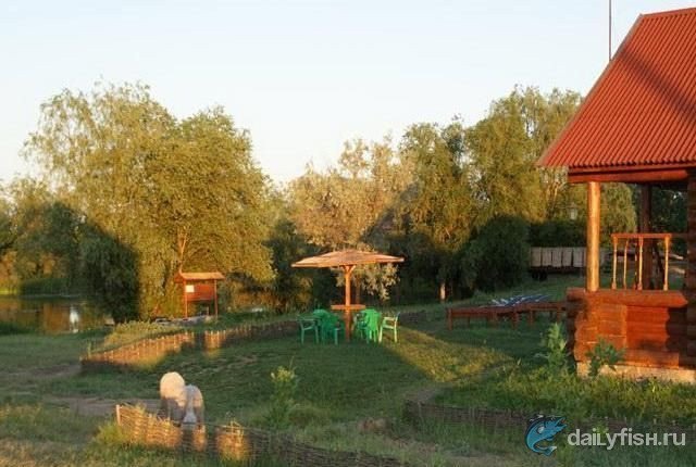 Рыболовная база "Тихая Радость"