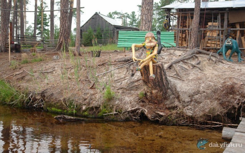 Рыболовная база "В гостях у лешего"