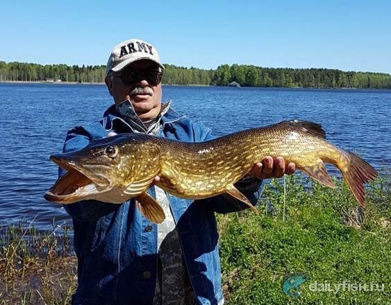 Рыболовный тур на озеро Дербовеж