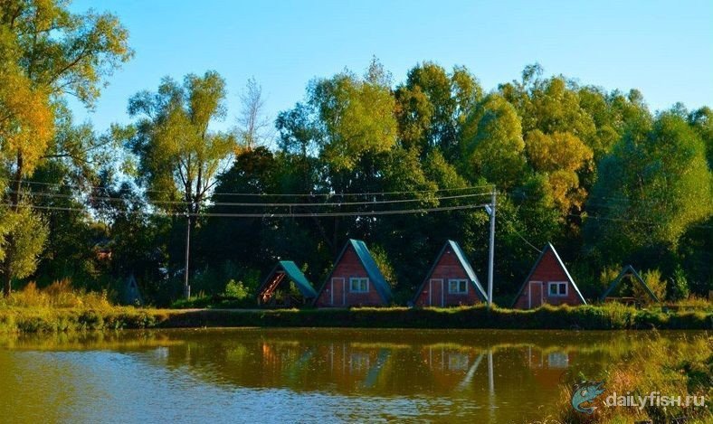 Загородный клуб "Golden Fish"