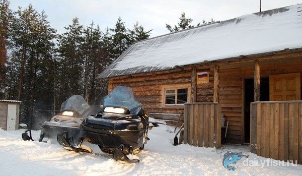 Зимнее сафари на озере Окулово