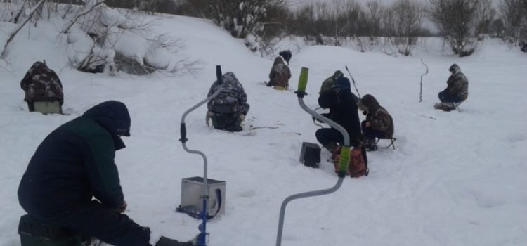 Где поймать трофей зимой: секреты рыбалки в Коми, лучшие базы и правила ловли Где поймать трофей зимой: секреты рыбалки в Коми, лучшие базы и правила ловли