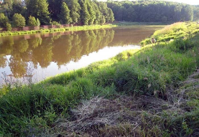 КРХ "Красногорское"