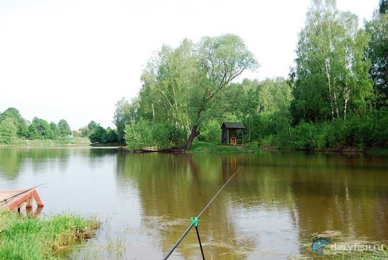 Рыбалка в "Репниково"