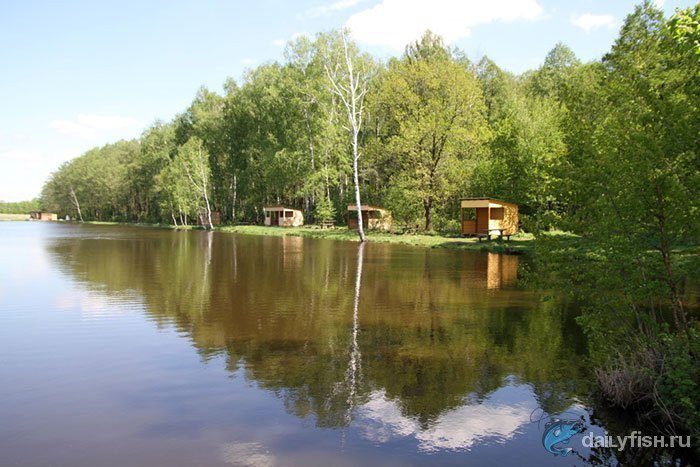 Рыболовный клуб «Рыбачок»