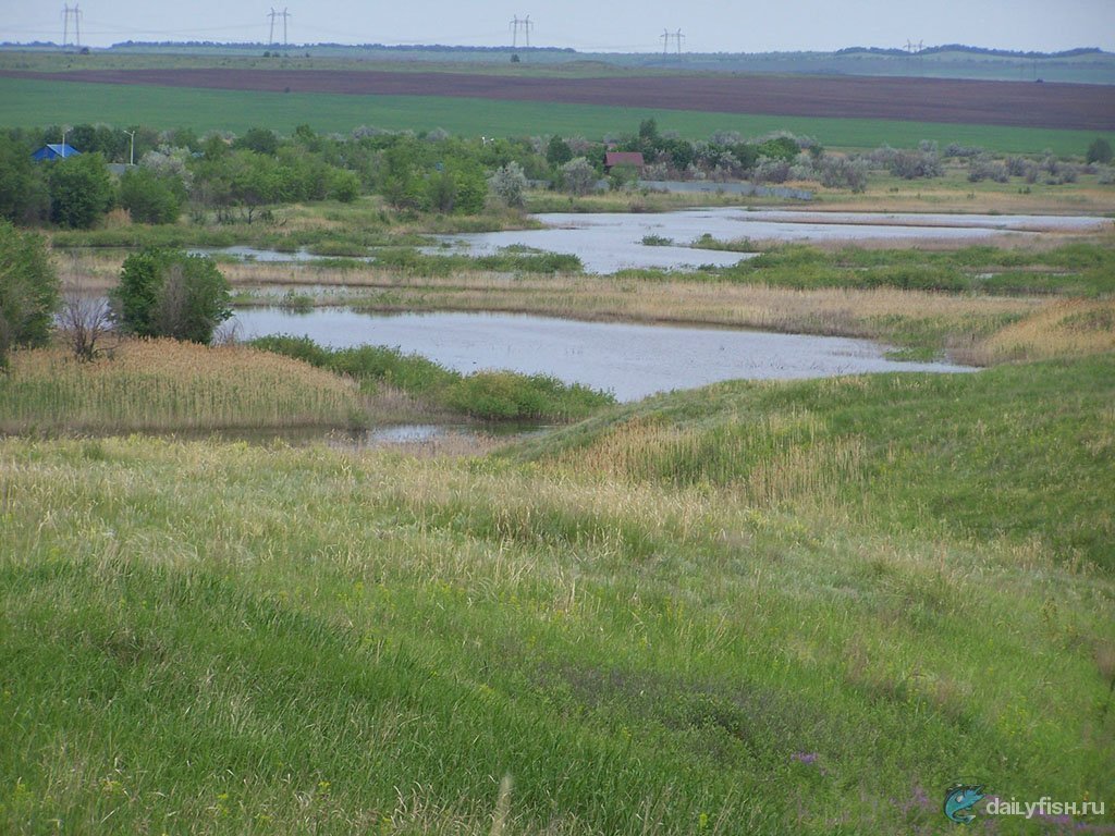 Готовицкий пруд