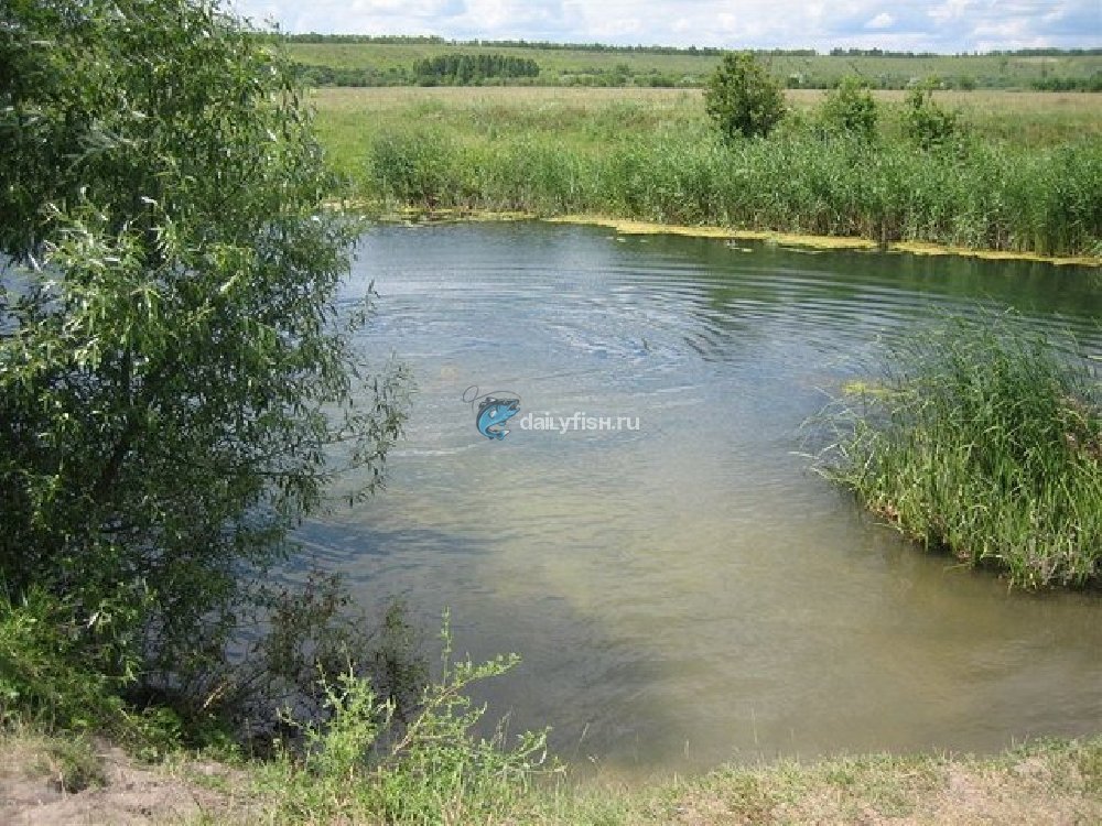 Устье реки Терновки и пруды