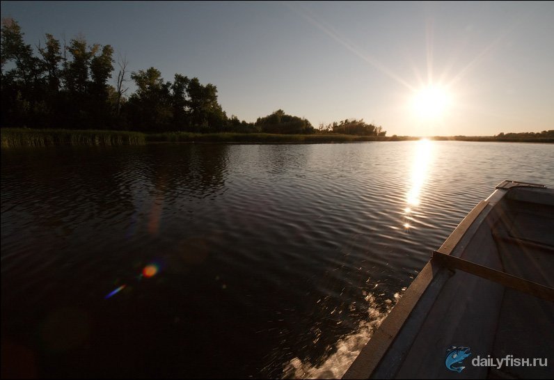 Чёрные воды