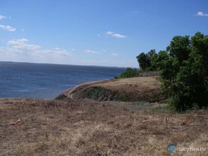Кочетновский берег Волги