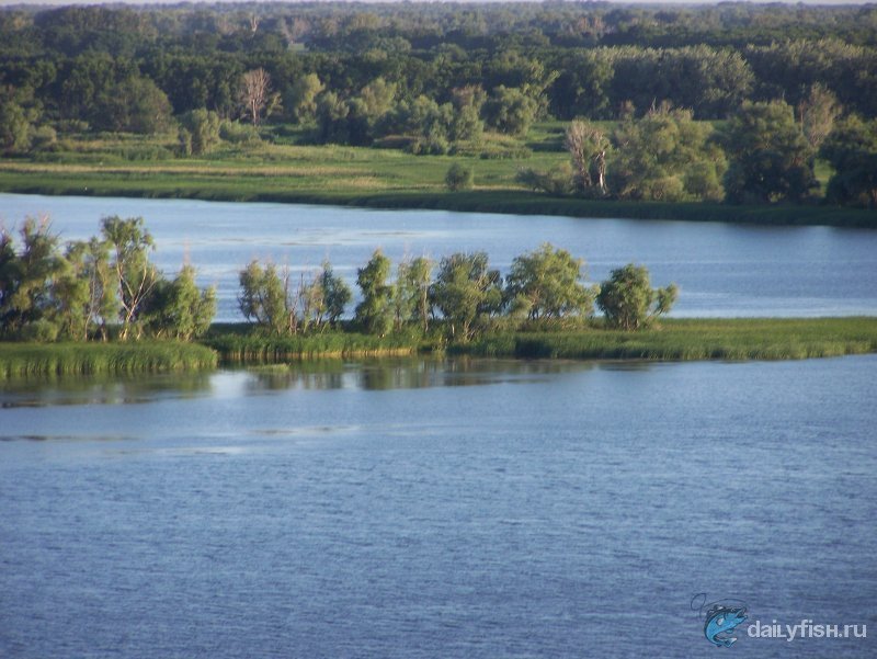 Кошелёвское займище