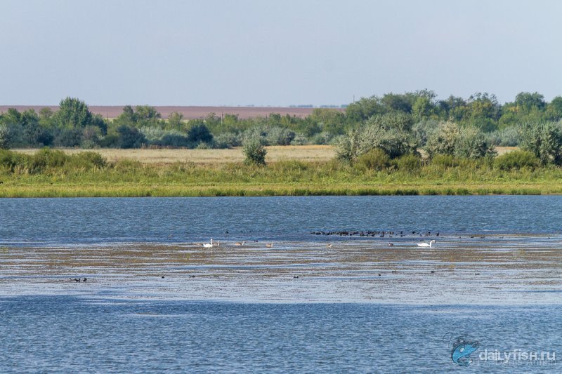 Лебедёвское водохранилище