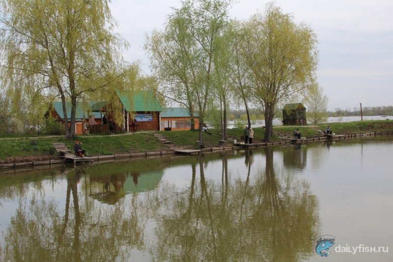 Рыбалка на Калинихе