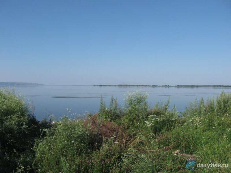 Саратовское водохранилище