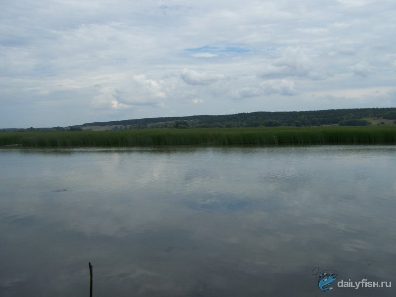 Устье реки Терешки