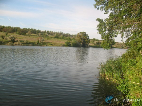 Водохранилище Колос