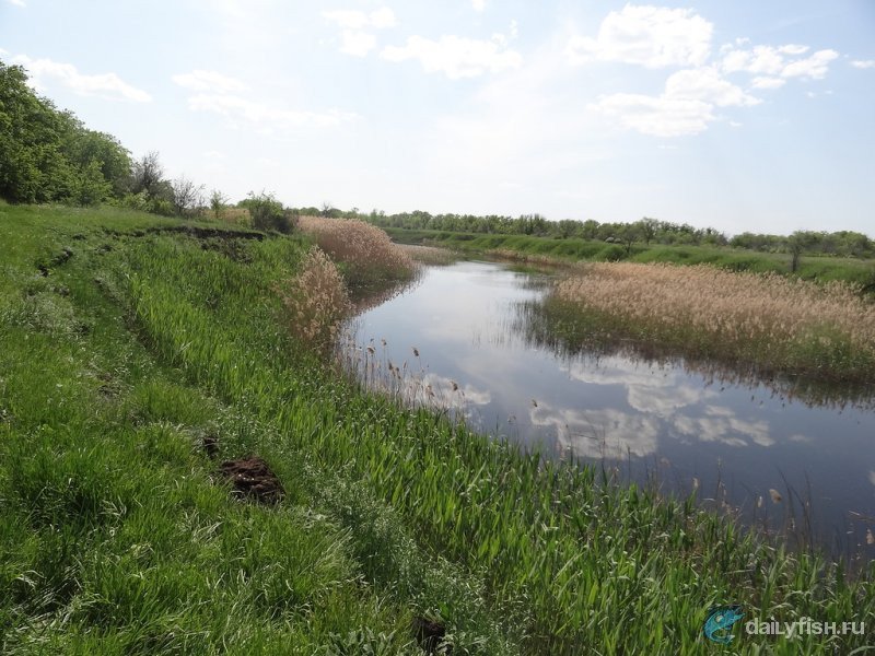 Водохранилище на реке Мечетка