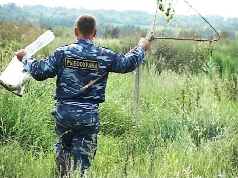 Уголовная статья за одну рыбину