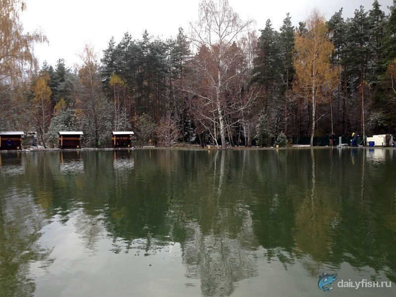 Водоемы клуба Фишпарк
