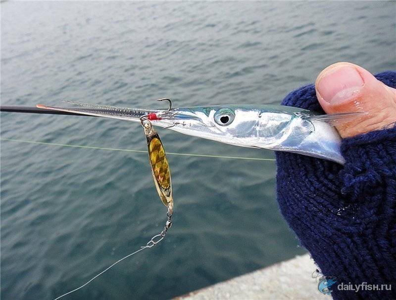 Ловля на блесну на море