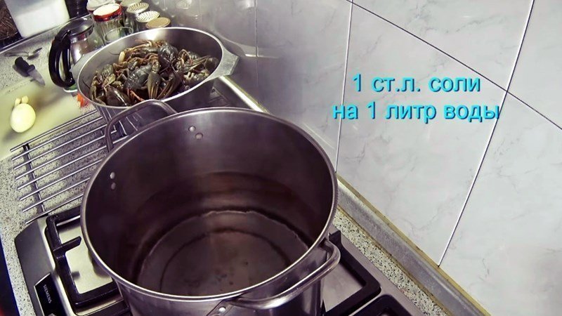 Как солить раков