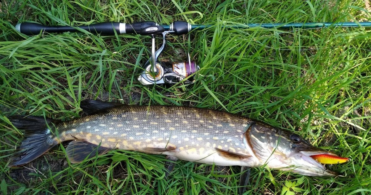 Megabass Vision Onetene 110