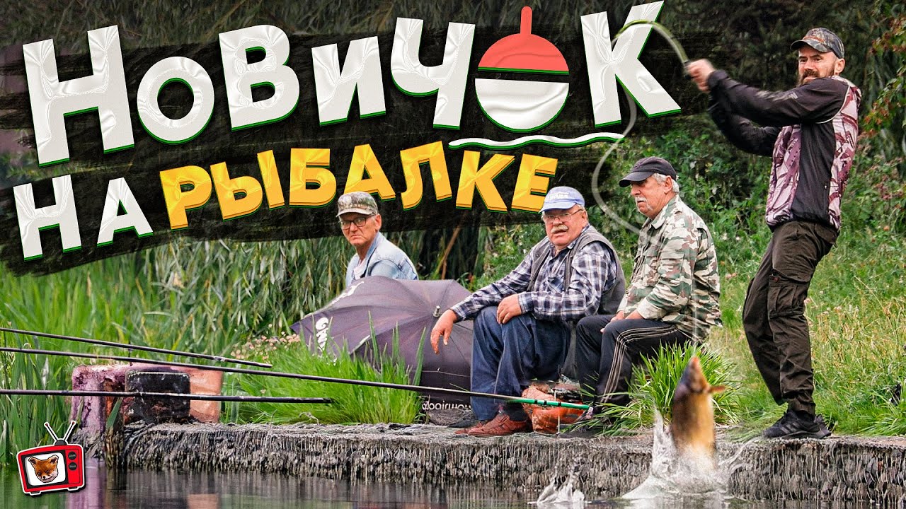 Поймал ОГРОМНОГО КАРПА на куриный ПОМЁТ Поймал ОГРОМНОГО КАРПА на куриный ПОМЁТ