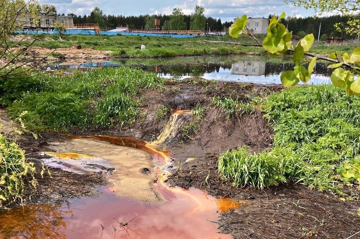 Продолжается расследование гибели рыбы под Киржачом: виновника могут привлечь к уголовной ответственности Продолжается расследование гибели рыбы под Киржачом: виновника могут привлечь к уголовной ответственности
