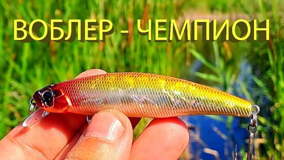Мой лучший летний воблер! Мой лучший летний воблер!